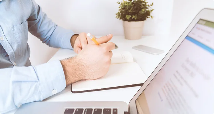 Standout New and Trending WordPress Themes - 爱游戏bofeng